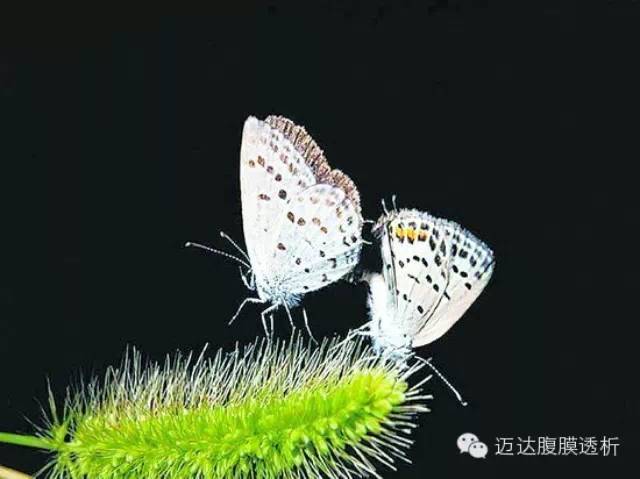 UG环球视讯·(中国)官方网站